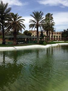 ORAN-Jardin public d'Oran 2